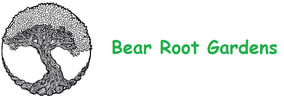 Bear Root Gardens - Sustainable Vegetable Seeds